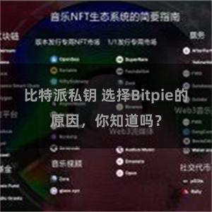 比特派私钥 选择Bitpie的原因，你知道吗？