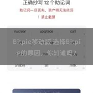 Bitpie移动版 选择Bitpie的原因，你知道吗？