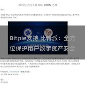 Bitpie支持 比特派：全方位保护用户数字资产安全