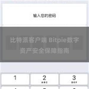 比特派客户端 Bitpie数字资产安全保障指南