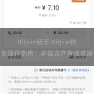 Bitpie新手 Bitpie钱包操作指南：多链资产管理攻略