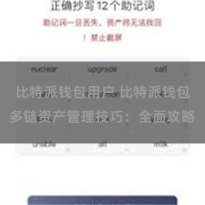 比特派钱包用户 比特派钱包多链资产管理技巧：全面攻略