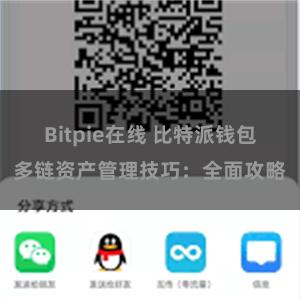 Bitpie在线 比特派钱包多链资产管理技巧：全面攻略