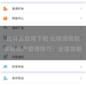 比特派应用下载 比特派钱包多链资产管理技巧：全面攻略