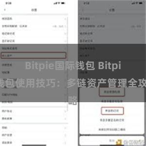 Bitpie国际钱包 Bitpie钱包使用技巧：多链资产管理全攻略