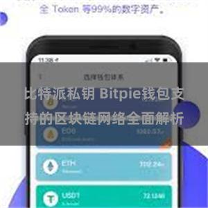 比特派私钥 Bitpie钱包支持的区块链网络全面解析