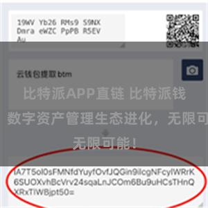 比特派APP直链 比特派钱包：数字资产管理生态进化，无限可能！