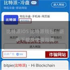 比特派iOS 比特派钱包：新手下载及使用指南