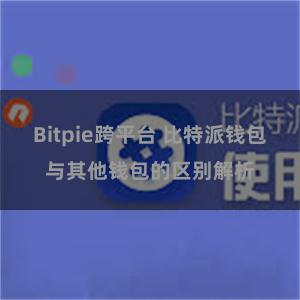 Bitpie跨平台 比特派钱包与其他钱包的区别解析