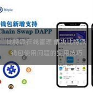 比特派在线管理 解决比特派钱包使用问题的实用技巧