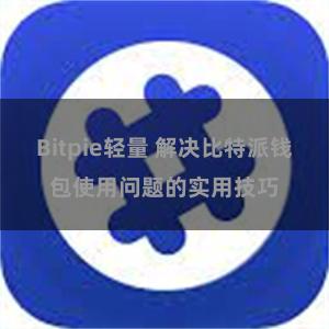 Bitpie轻量 解决比特派钱包使用问题的实用技巧