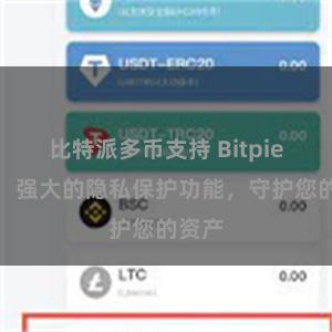 比特派多币支持 Bitpie钱包：强大的隐私保护功能，守护您的资产