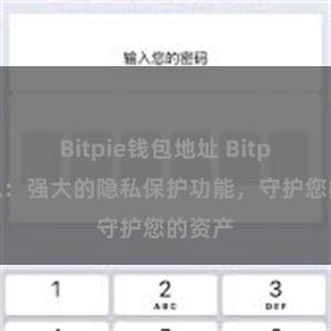 Bitpie钱包地址 Bitpie钱包：强大的隐私保护功能，守护您的资产