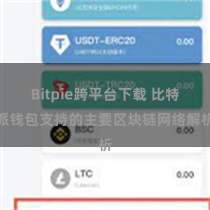 Bitpie跨平台下载 比特派钱包支持的主要区块链网络解析