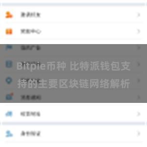 Bitpie币种 比特派钱包支持的主要区块链网络解析