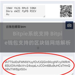 Bitpie系统支持 Bitpie钱包支持的区块链网络解析