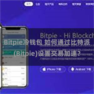 Bitpie冷钱包 如何通过比特派(Bitpie)设置交易加速？