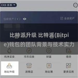 比特派升级 比特派(Bitpie)钱包的团队背景与技术实力