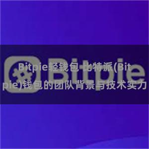 Bitpie轻钱包 比特派(Bitpie)钱包的团队背景与技术实力