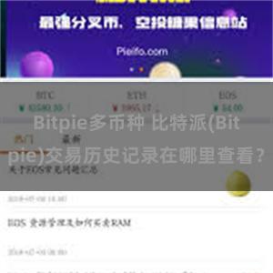 Bitpie多币种 比特派(Bitpie)交易历史记录在哪里查看？