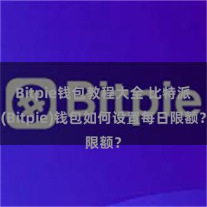 Bitpie钱包教程大全 比特派(Bitpie)钱包如何设置每日限额？