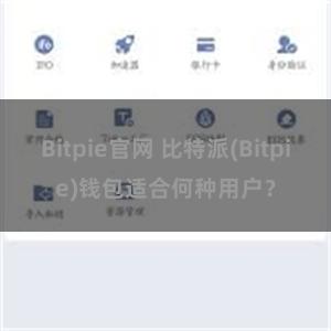 Bitpie官网 比特派(Bitpie)钱包适合何种用户？