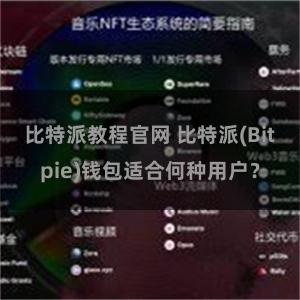 比特派教程官网 比特派(Bitpie)钱包适合何种用户？