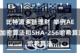 比特派多链理财  举例AES加密算法和SHA-256哈希算法