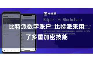 比特派数字账户  比特派采用了多重加密技能
